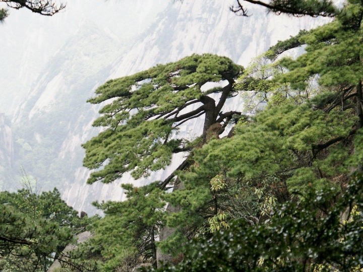 23天都峰风光.jpg