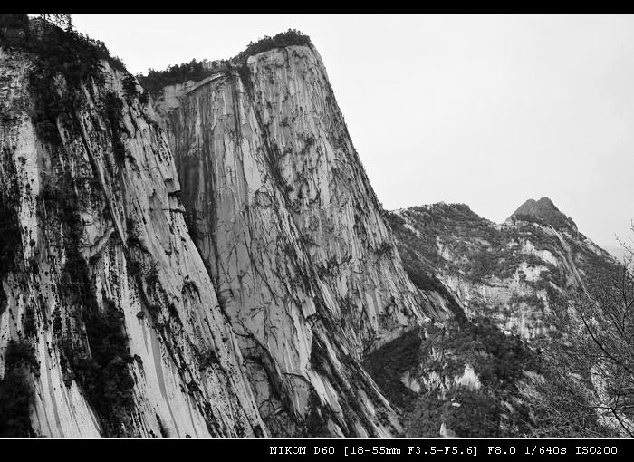 DSC_0712.jpg