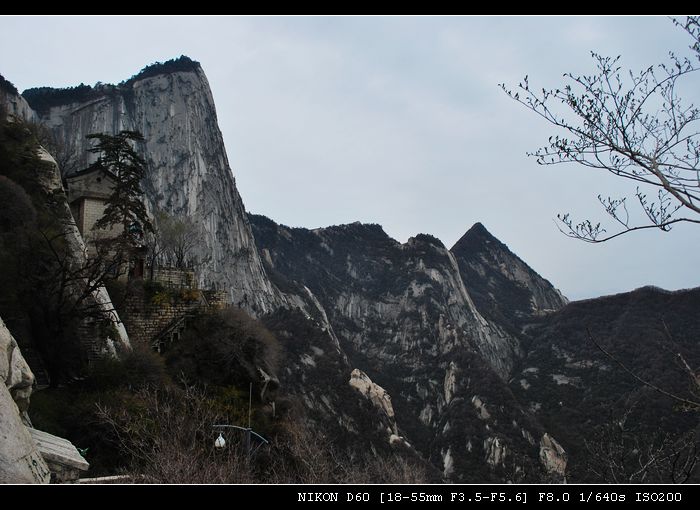 DSC_0595.jpg