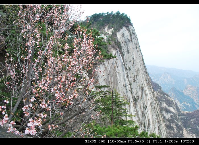 DSC_0624.jpg