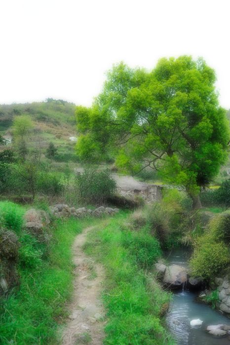 小溪S.jpg