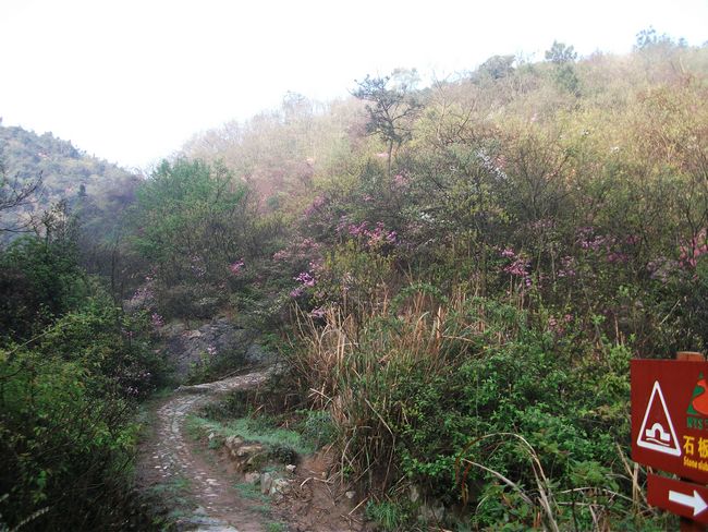 DSCF0568.JPG