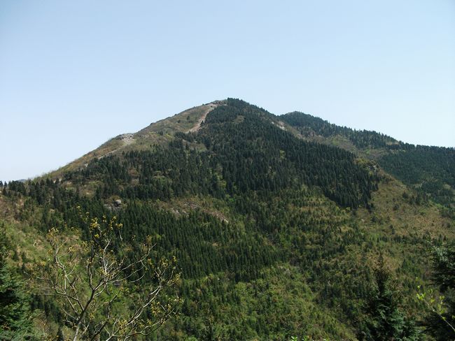 DSCF0620.JPG