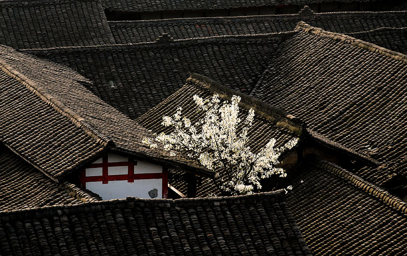 DSC_0130 副本.jpg