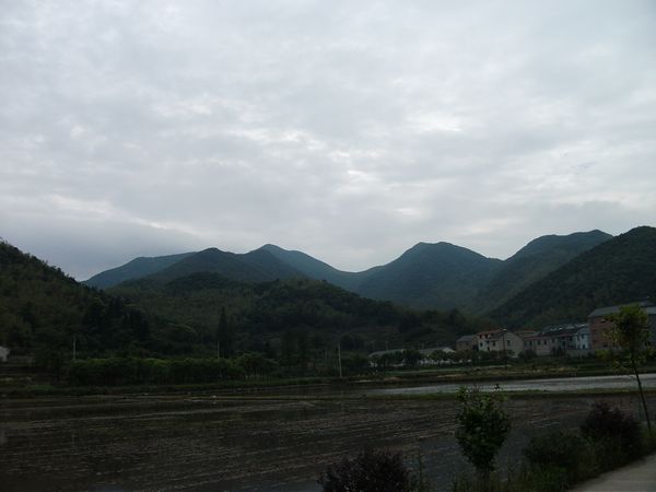 DSCF0801.JPG