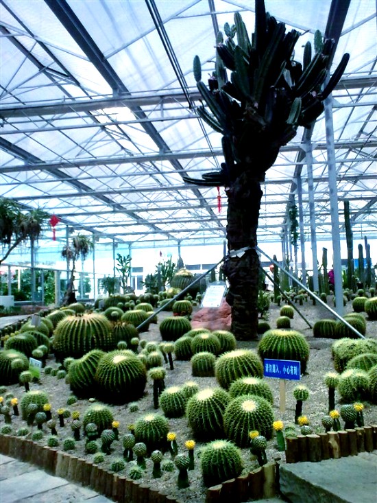 植物园6.jpg