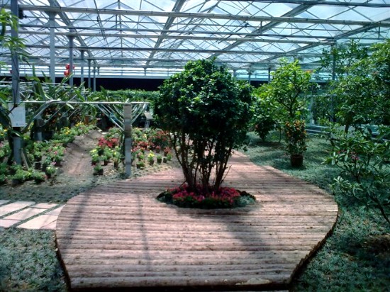 植物园2.jpg