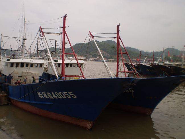 P4251120.JPG