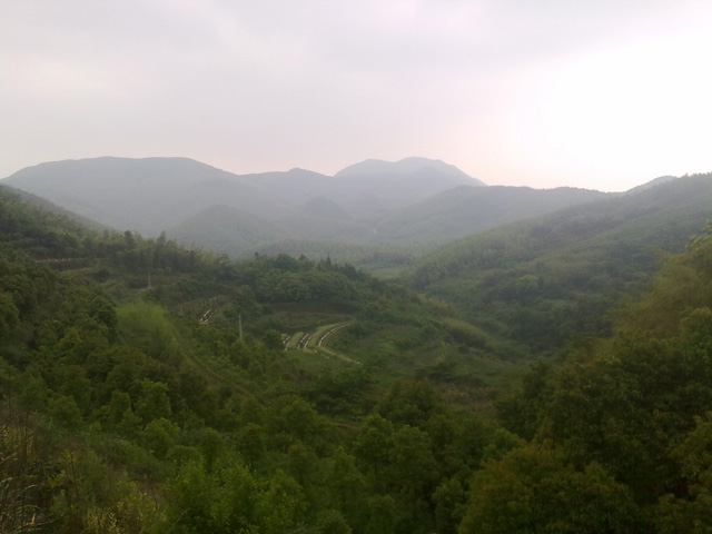 20100523194.jpg