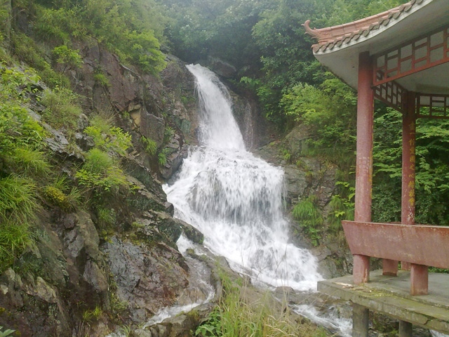 20100523206.jpg