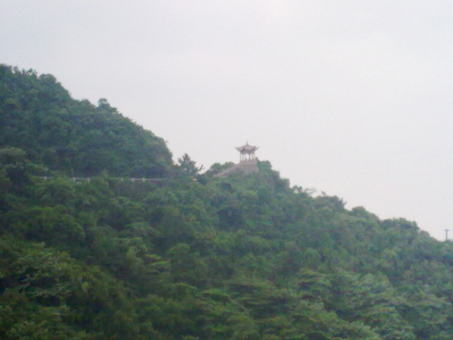 20100523204.jpg