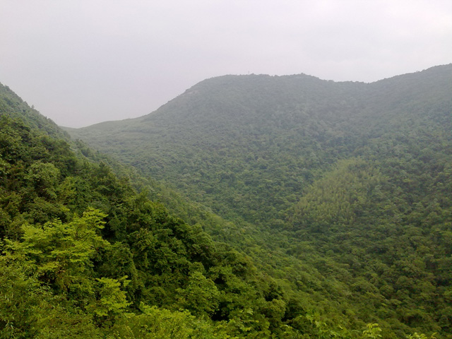 20100523199.jpg