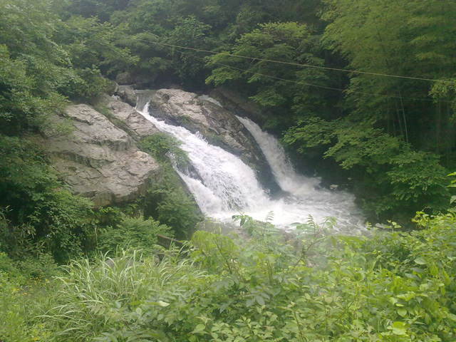 20100523190.jpg