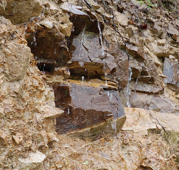 DSC_3421.jpg
