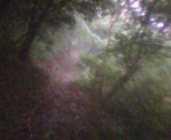 IMG0082A.jpg