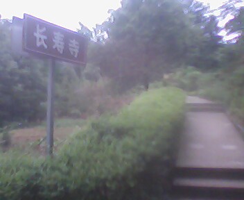 上山