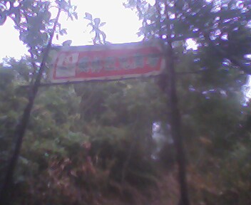 到了奥林匹克广场