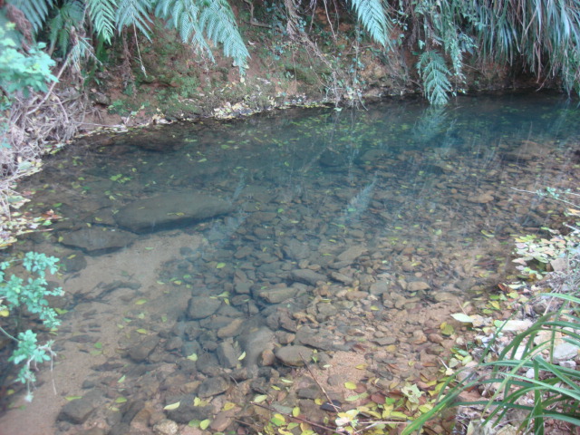 20091204_36161b0b93b0ae889d8aLqM3X6ApQ3XL.jpg
