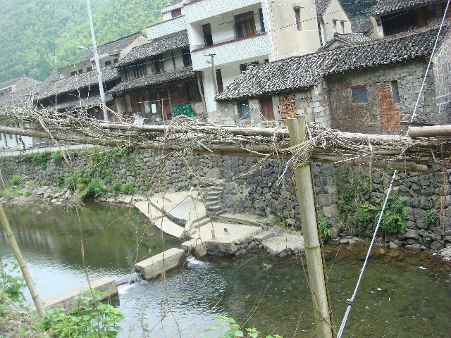 路边的风景