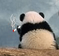 未命名.gif