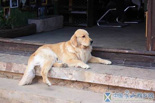nEO_IMG_IMG_6606.jpg