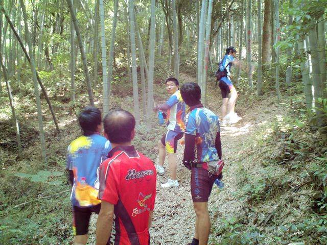 FILE0054.jpg