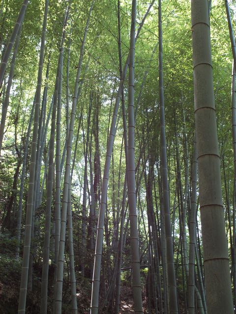 FILE0068.jpg