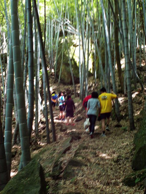 FILE0069.jpg