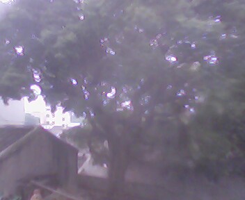 IMG0123A.jpg