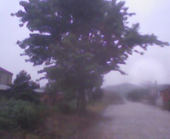 IMG0140A.jpg
