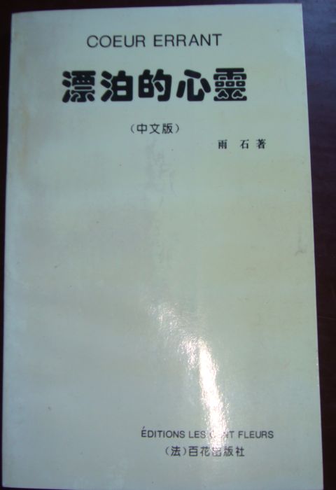 漂泊的心灵.JPG