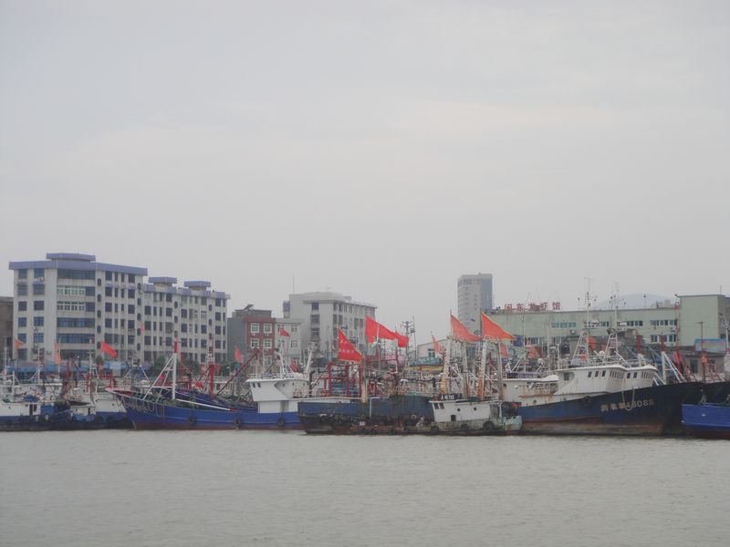 DSC01008.JPG