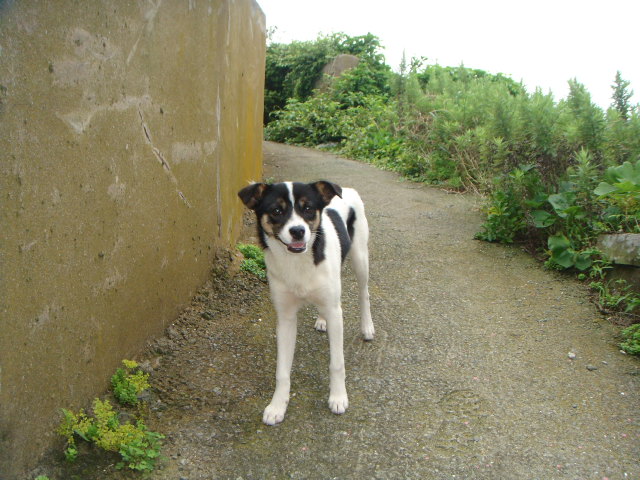 DSC04278.JPG