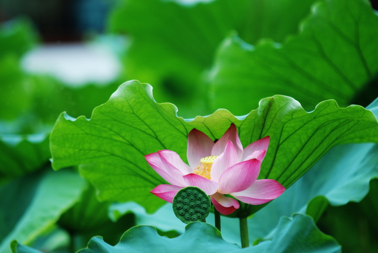 DSC_0062_调整大小.JPG