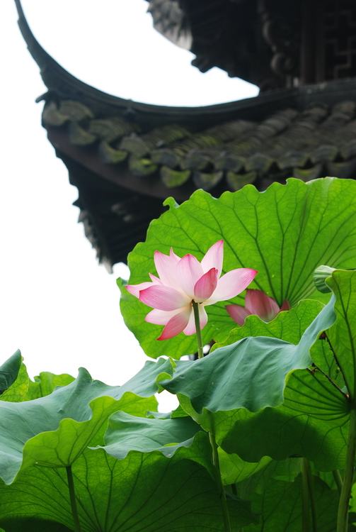 DSC_0108_调整大小.JPG
