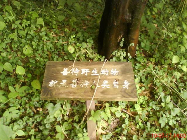 888.JPG
