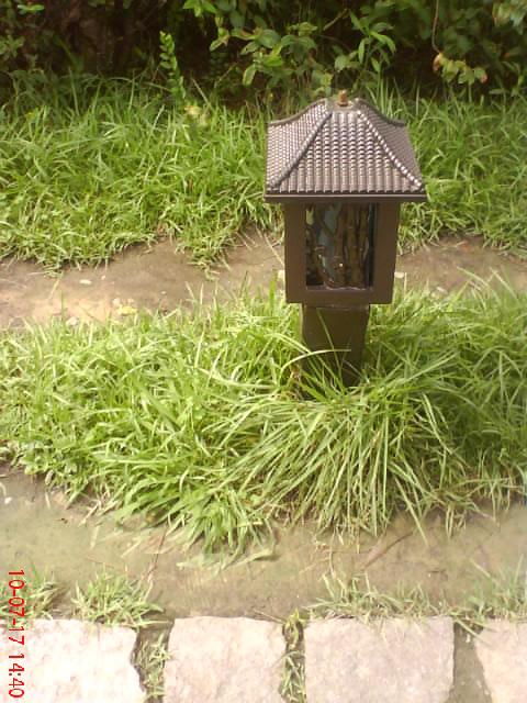 DSC07907.JPG