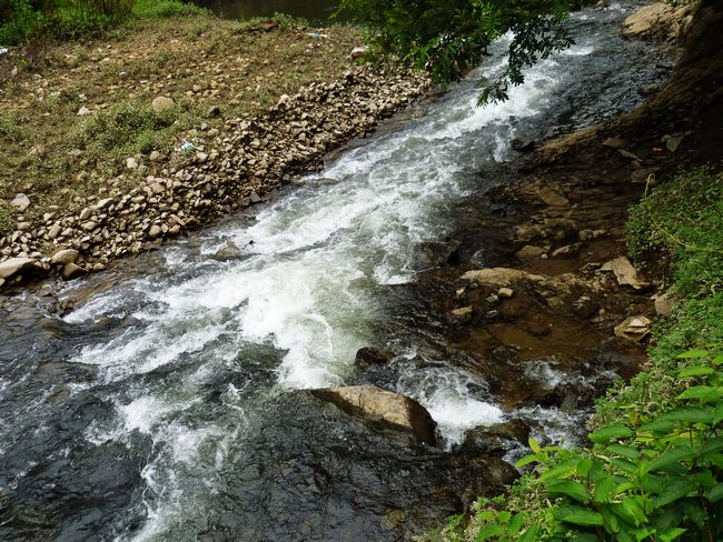 P1000085.JPG