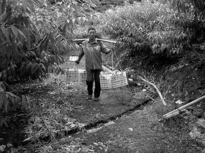 2010072201.jpg