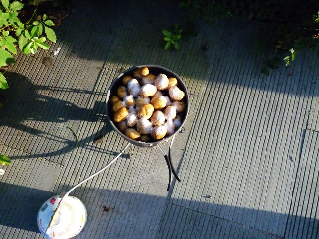 P1000231.JPG