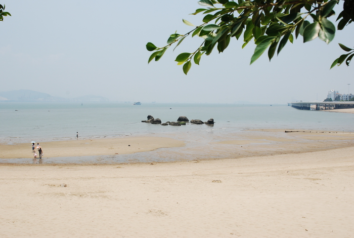 DSC_0219.JPG