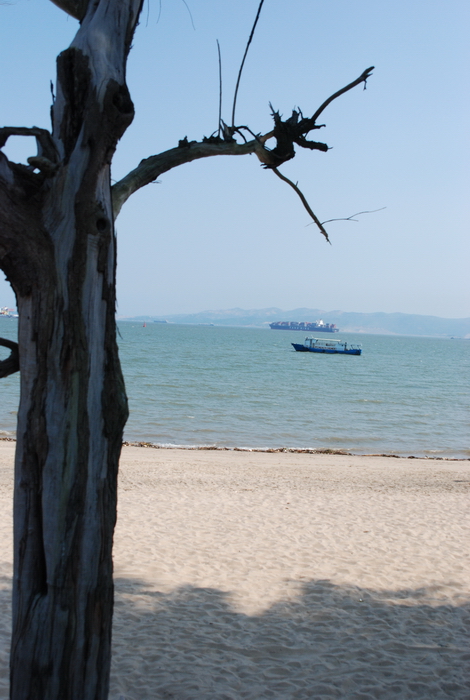 DSC_0305.JPG