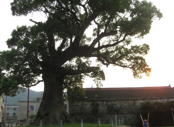 风景10.jpg