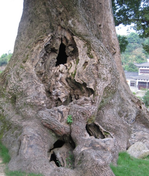 风景6.jpg