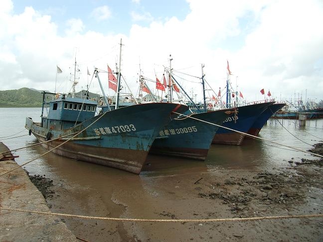 SA550163.JPG
