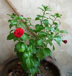 P1030355.JPG