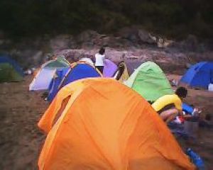 IMG0060A.jpg