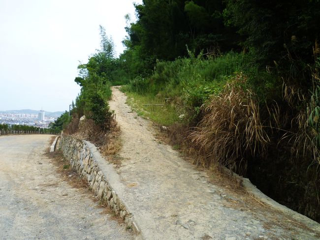 P1000663.JPG
