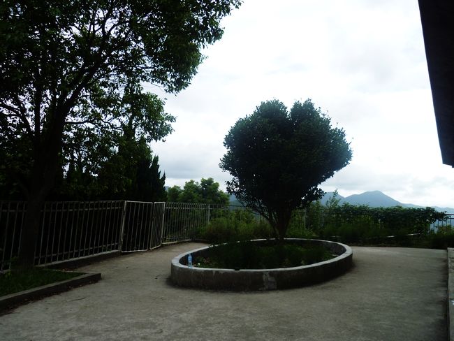 P1000668.JPG
