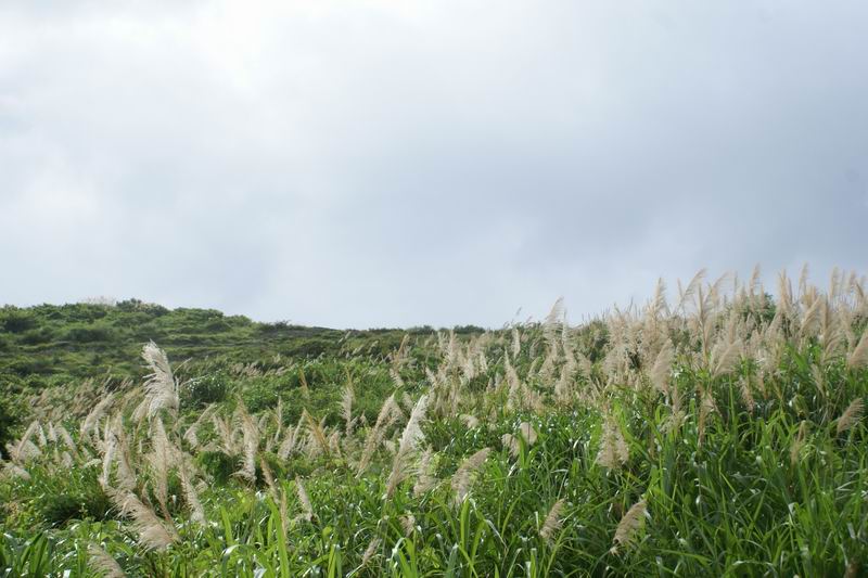 调整大小 DSC04332.JPG